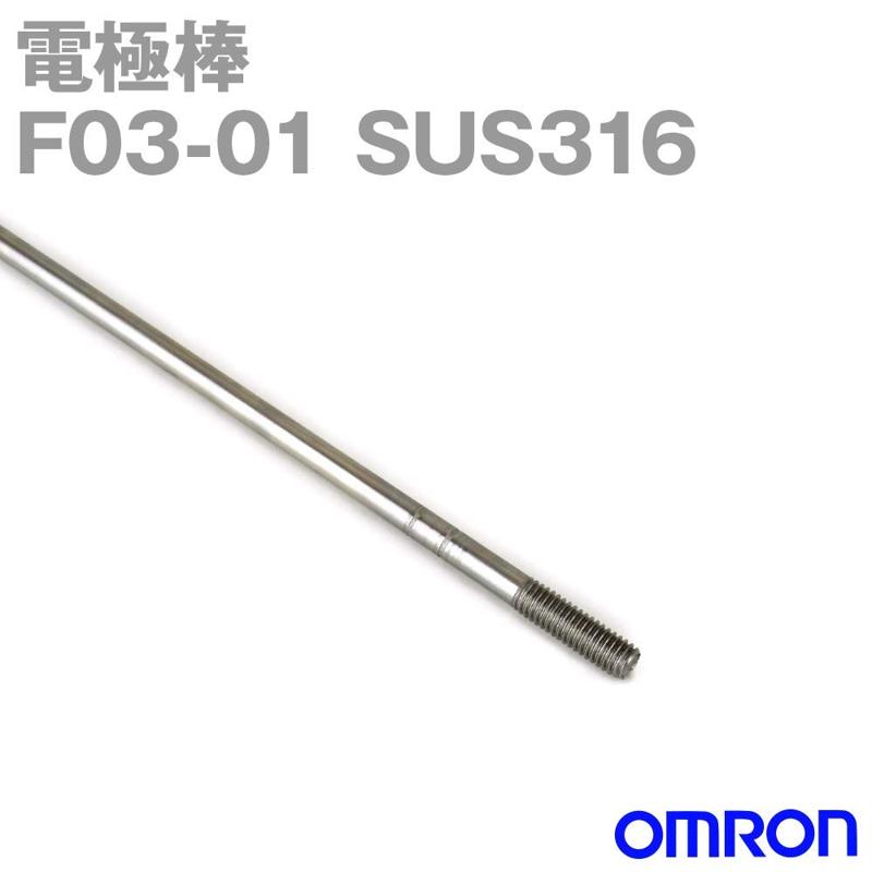 F03-01-SUS316-ELECTRODE